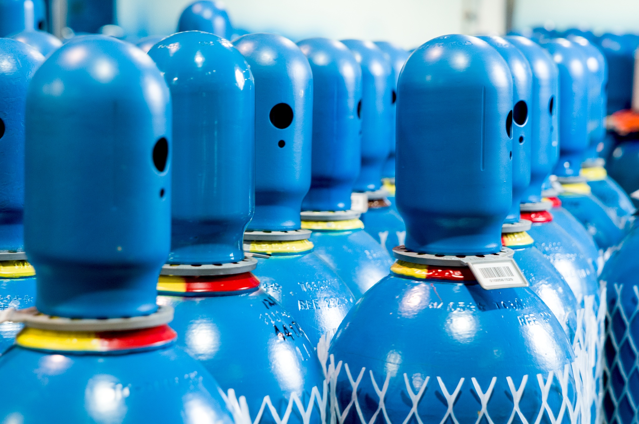 Close up showing blue caps and shoulders of rows of specialty gas cylinders at Alpha New Jersey. Newly labelled and netted cylinders, ready for delivery.