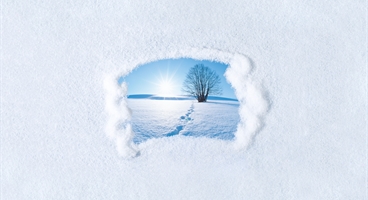 Images used in the refrigerant F-gas campaign, looking trough frozen window at a tree sunrise.